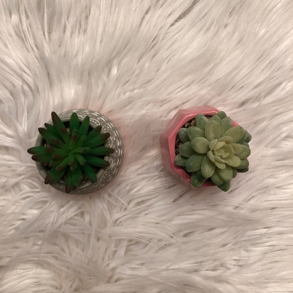 Forever 21 Other - Mini Faux Succulents